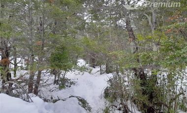 Sitio en Venta en Las Encinas, Las Trancas, Camino a Termas de Chillán