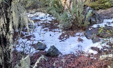 Sitio en Venta en Las Encinas, Las Trancas, Camino a Termas de Chillán