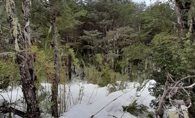 Sitio en Venta en Las Encinas, Las Trancas, Camino a Termas de Chillán