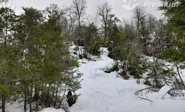 Sitio en Venta en Las Encinas, Las Trancas, Camino a Termas de Chillán