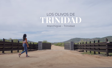 Sitio en Venta en MARCHIGUE