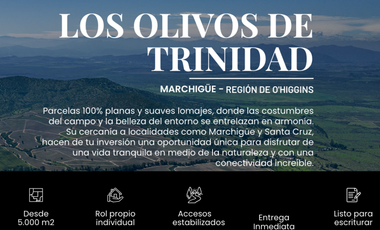 Sitio en Venta en MARCHIGUE