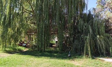 Local Comercial en Venta en LOS GUINDOS