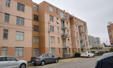 Se arrienda departamento Quilpue