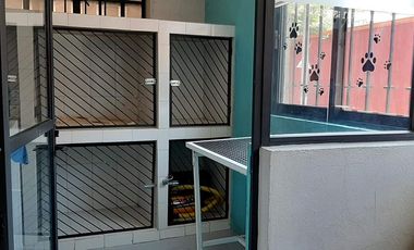 Álvaro Obregón Local Comercial, Productivo En Venta