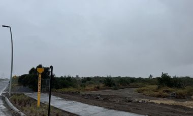 TERRENO EN RENTA EN SALINAS VICTORIA