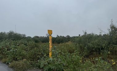 TERRENO EN RENTA EN SALINAS VICTORIA