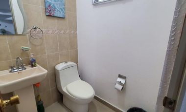 Casa en renta, amueblada Palma Real Viñedos