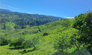 VENDO FK GANADERA 164 CUADRAS SECTOR LA VIRGINIA (RISARALDA)