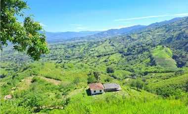 VENDO FK GANADERA 164 CUADRAS SECTOR LA VIRGINIA (RISARALDA)