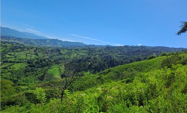 VENDO FK GANADERA 164 CUADRAS SECTOR LA VIRGINIA (RISARALDA)