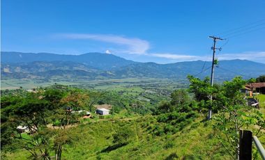 VENDO FK GANADERA 164 CUADRAS SECTOR LA VIRGINIA (RISARALDA)