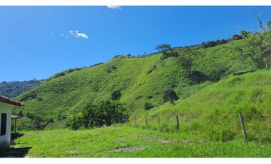 VENDO FK GANADERA 164 CUADRAS SECTOR LA VIRGINIA (RISARALDA)