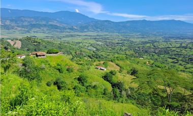 VENDO FK GANADERA 164 CUADRAS SECTOR LA VIRGINIA (RISARALDA)