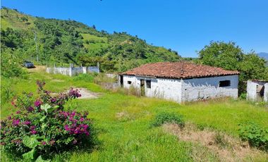 VENDO FK GANADERA 164 CUADRAS SECTOR LA VIRGINIA (RISARALDA)