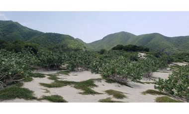 VENDO TERRENOS 3,5 Has DE PLAYA VIRGEN EN SANTA MARTA