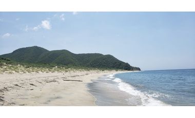 VENDO TERRENOS 3,5 Has DE PLAYA VIRGEN EN SANTA MARTA