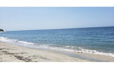 VENDO TERRENOS 3,5 Has DE PLAYA VIRGEN EN SANTA MARTA
