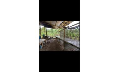 VENDO FK PANELERA Y PISCICOLA 18 CUADRAS EN OBANDO (VALLE)