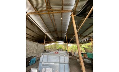 VENDO FK PANELERA Y PISCICOLA 18 CUADRAS EN OBANDO (VALLE)