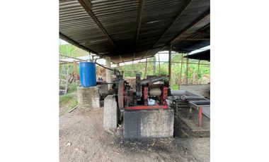 VENDO FK PANELERA Y PISCICOLA 18 CUADRAS EN OBANDO (VALLE)