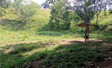 VENDO FK GANADERA 800 HECTAREAS POR PUERTO SALGAR