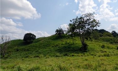 VENDO FK GANADERA 800 HECTAREAS POR PUERTO SALGAR