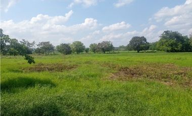 VENDO FK GANADERA 800 HECTAREAS POR PUERTO SALGAR