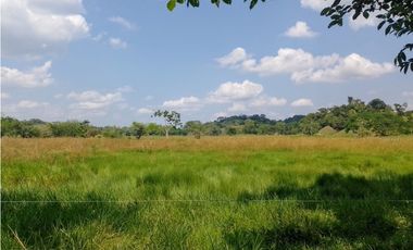 VENDO FK GANADERA 800 HECTAREAS POR PUERTO SALGAR