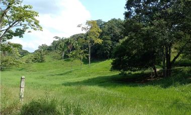 VENDO FK GANADERA 800 HECTAREAS POR PUERTO SALGAR