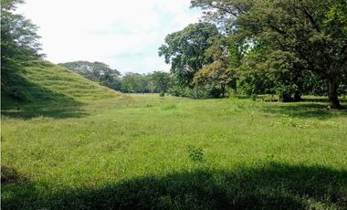 VENDO FK GANADERA 800 HECTAREAS POR PUERTO SALGAR