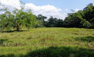 VENDO FK GANADERA 800 HECTAREAS POR PUERTO SALGAR