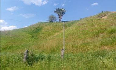 VENDO FK GANADERA 800 HECTAREAS POR PUERTO SALGAR