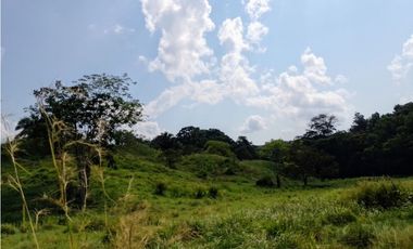 VENDO FK GANADERA 800 HECTAREAS POR PUERTO SALGAR