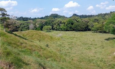 VENDO FK GANADERA 800 HECTAREAS POR PUERTO SALGAR