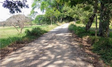 VENDO FK GANADERA 800 HECTAREAS POR PUERTO SALGAR