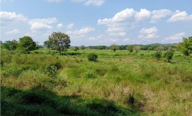 VENDO FK GANADERA 800 HECTAREAS POR PUERTO SALGAR