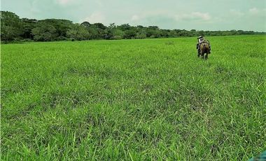 VENDO FK GANADERA 1300 HAS POR BARRANCABERMEJA