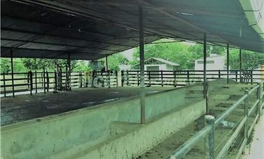 VENDO FK GANADERA 1300 HAS POR BARRANCABERMEJA