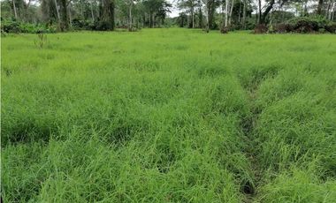 VENDO FK GANADERA 1300 HAS POR BARRANCABERMEJA