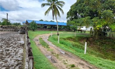 VENDO FK GANADERA 1300 HAS POR BARRANCABERMEJA