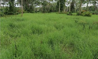 VENDO FK GANADERA 1300 HAS POR BARRANCABERMEJA