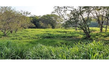 VENDO FK GANADERA 1300 HAS POR BARRANCABERMEJA