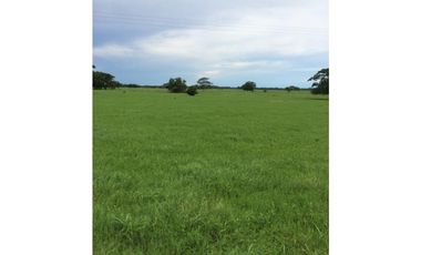 VENDO FK GANADERA 1300 HAS POR BARRANCABERMEJA