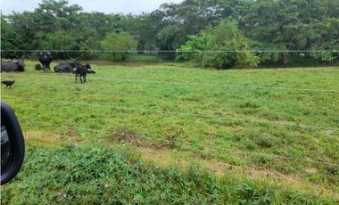 VENDO FK GANADERA 1300 HAS POR BARRANCABERMEJA