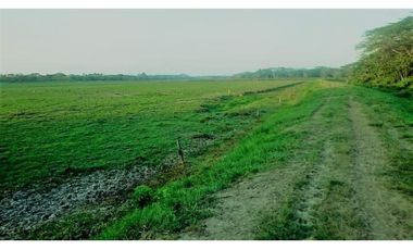 VENDO FK GANADERA 1300 HAS POR BARRANCABERMEJA