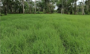 VENDO FK GANADERA 1300 HAS POR BARRANCABERMEJA