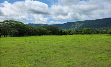 VENDO FINCA GANADERA POR PUERTO SALGAR 402 CUADRAS