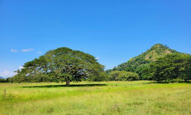 VENDO FINCA GANADERA POR PUERTO SALGAR 402 CUADRAS