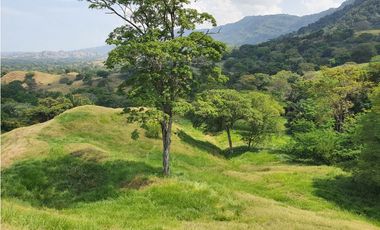 VENDO FINCA GANADERA POR PUERTO SALGAR 402 CUADRAS